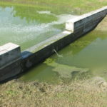 stormwater pollution