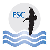 esc Industrial Recognition